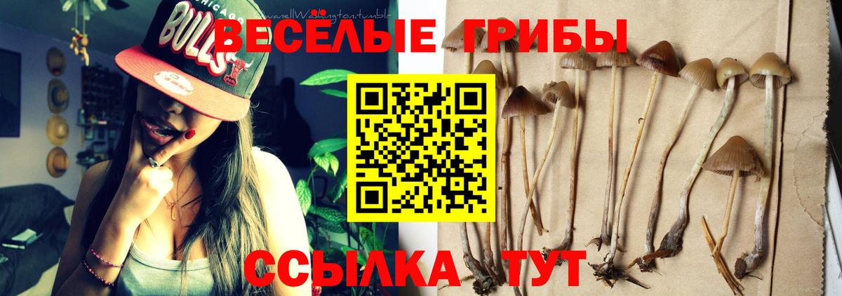Галлюциногенные грибы Psilocybine cubensis  Вход с VPN  Мценск 